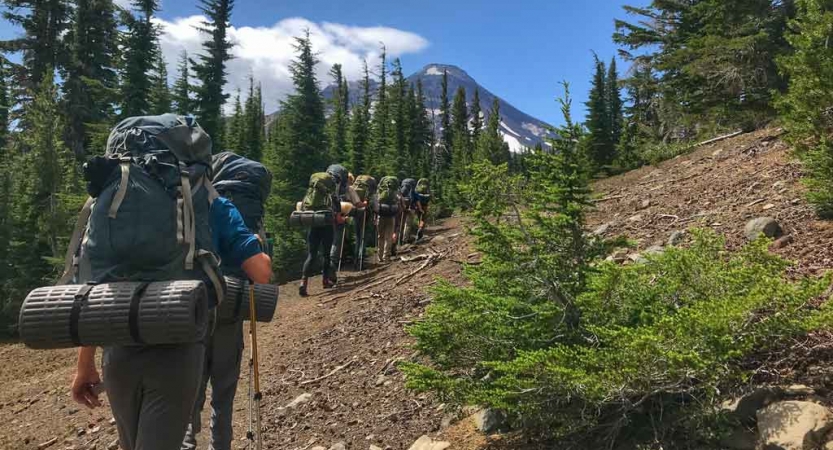 a group of students carrying backpacks hike along an alpine trail lined with trees